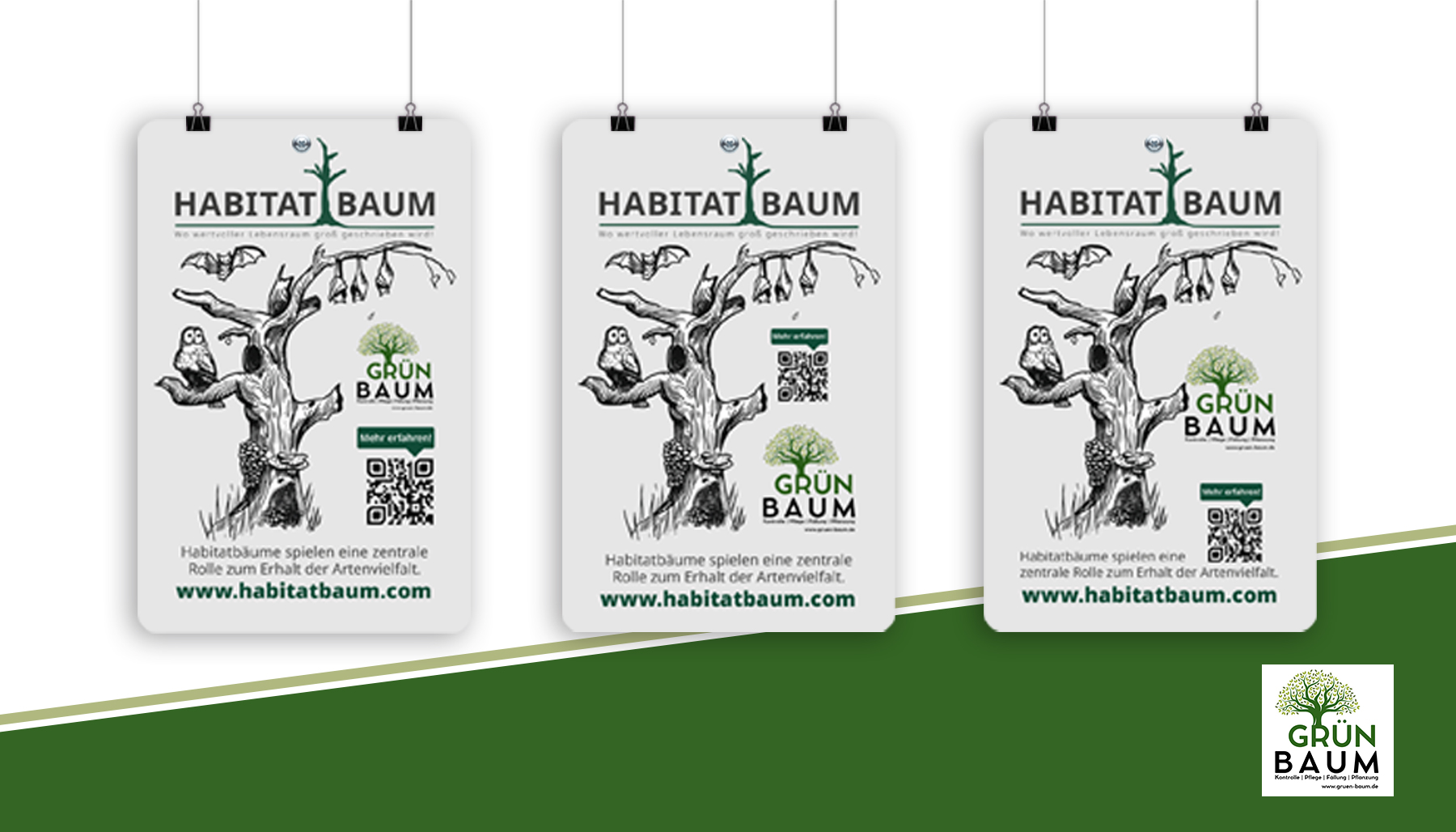 GrünBaum GrünBaum